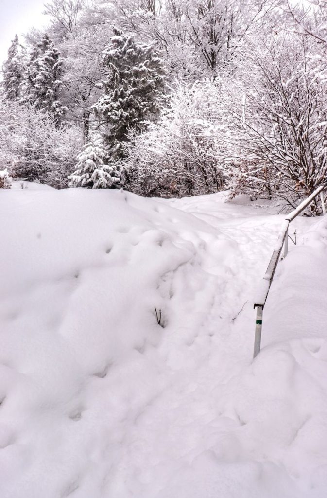 Zima w rezerwacie Wysokie Skałki w Pieninach Małych, zasypane przez śnieg podejście na zielonym szlaku na Wysoką