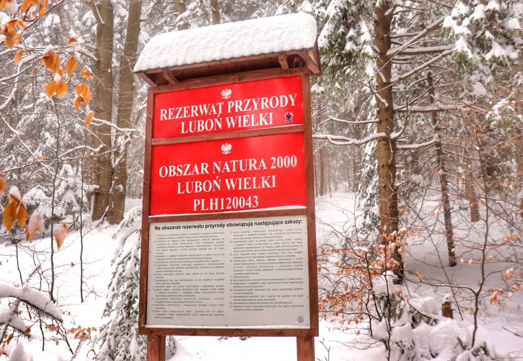 Czerwona tablica na żółtym szlaku z napisem REZERWAT PRZYRODY LUBOŃ WIELKI, OBSZAR NATURA 2000 LUBOŃ WIELKI