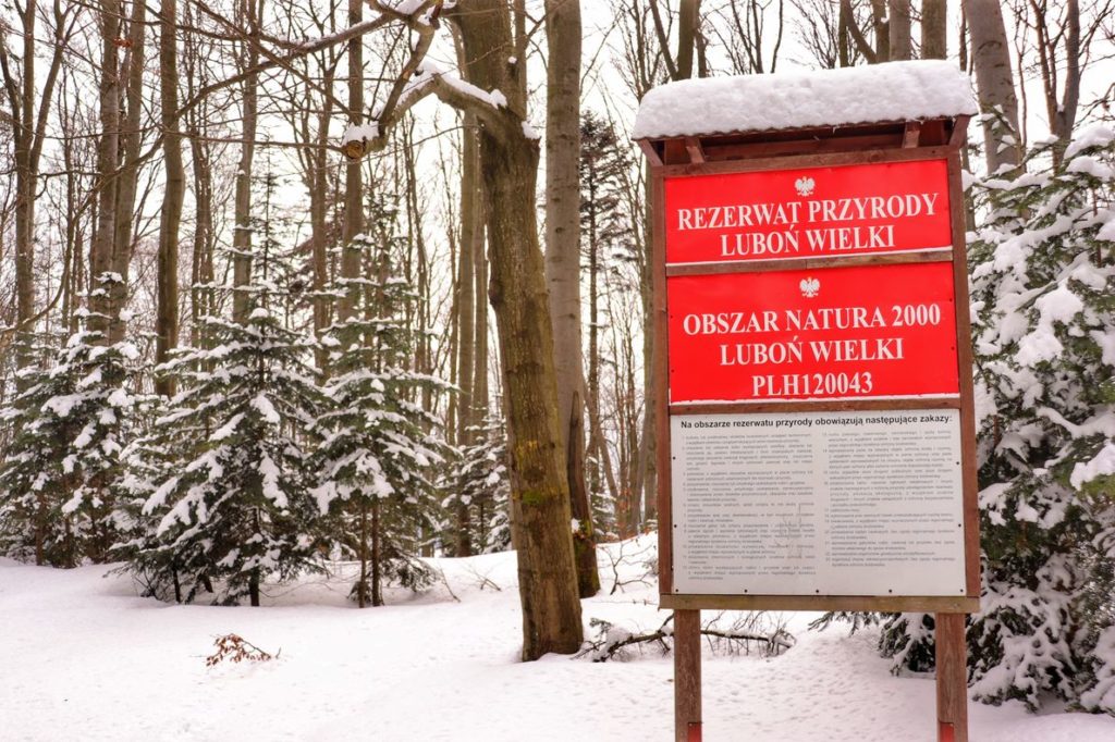Czerwona tablica stojąca w sąsiedztwie schroniska na Luboniu Wielkim z napisem Rezerwat Przyrody LUBOŃ WIELKI, Obszar Natura 2000