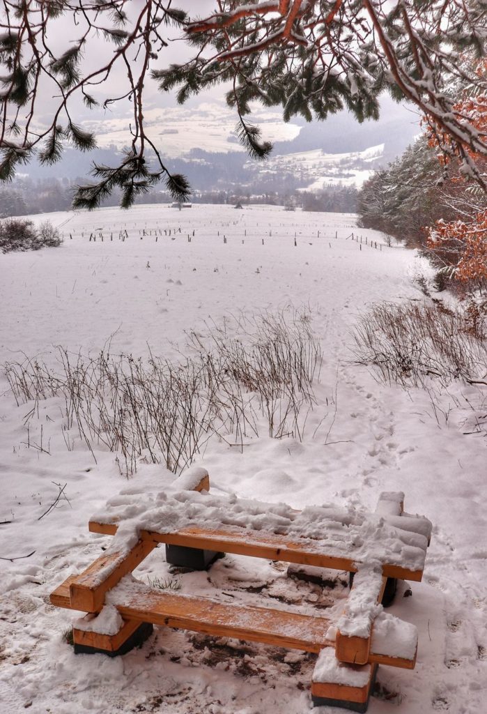 Drewniany stół z ławkami na żółtym szlaku w Rabce Zaryte, zima