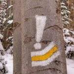 Oznaczenia na drzewie - biały wykrzyknik, szlak żółty skręt w lewo na Perć Borkowskiego