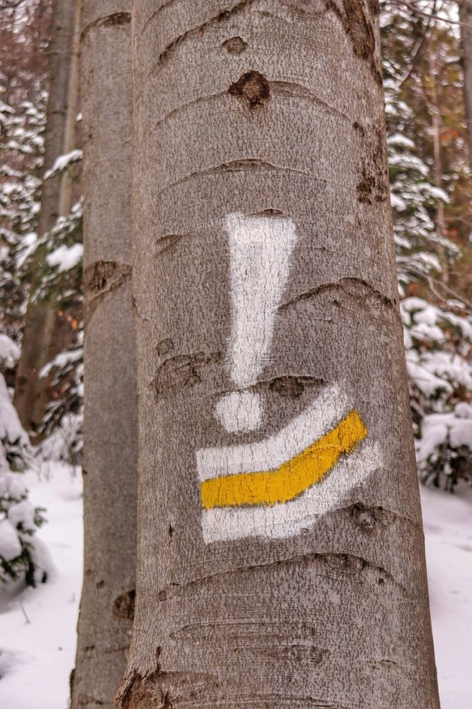 Oznaczenia na drzewie - biały wykrzyknik, szlak żółty skręt w lewo na Perć Borkowskiego