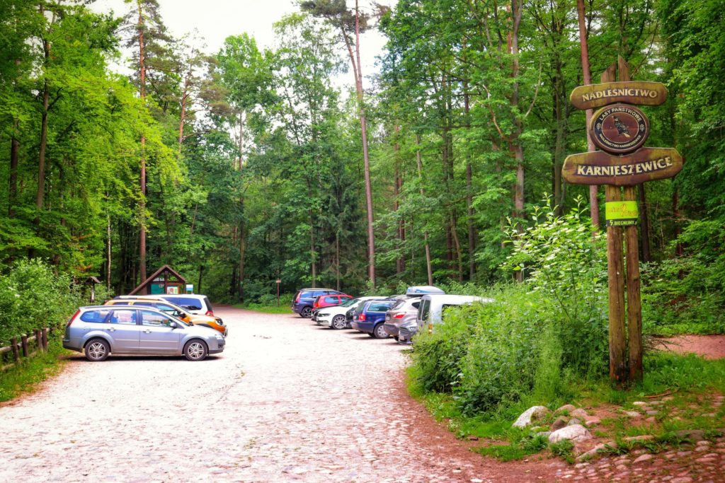 Parking leśny na ulicy Słupskiej w Koszalinie - Nadleśnictwo Karnieszewice