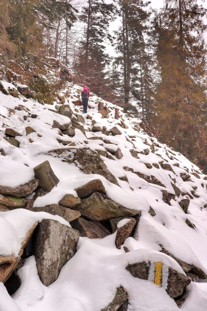 Perć Borkowskiego zimą, skały zasypane przez śnieg