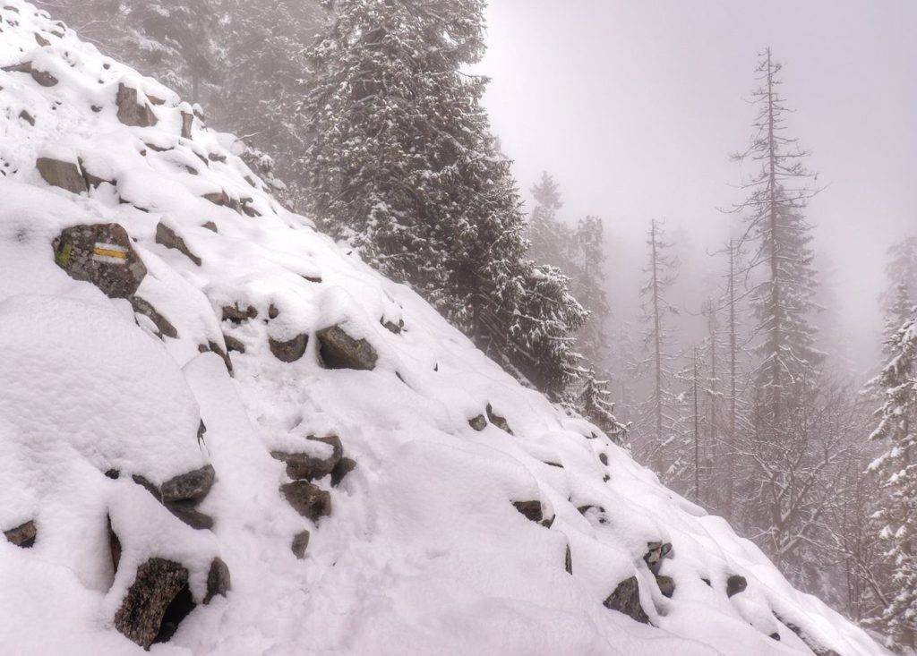 Perć Borkowskiego zimą, szlak żółty na Luboń Wielki, mgła, skały pokryte śniegiem
