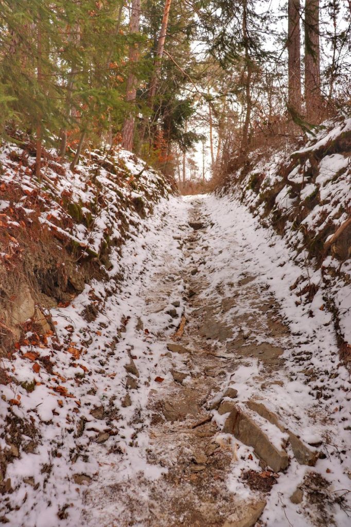 Podejście na żółtym szlaku idącym do Perci Borkowskiego, leśna dróżka, kamienie, które miejscami są pokryte śniegiem