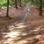 Podejście przez las na żółtym szlaku w Koszalinie