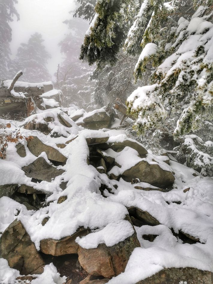 Rumowisko skalne  (gołoborze)  zimą na Perci Borkowskiego, szlak żółty na Luboń Wielki