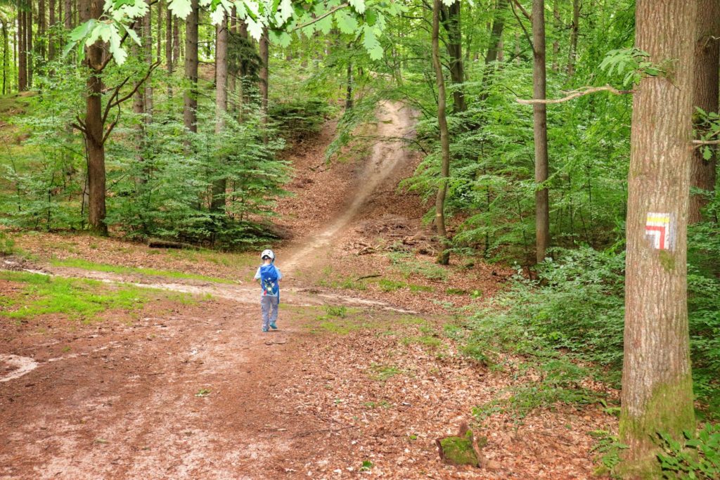 Szeroka droga leśna, miejsce skrętu szlaku czerwonego w lewo, szlak żólty Pętla Tatrzańska Koszalin) idzie prosto, dziecko w kasku rowerowym