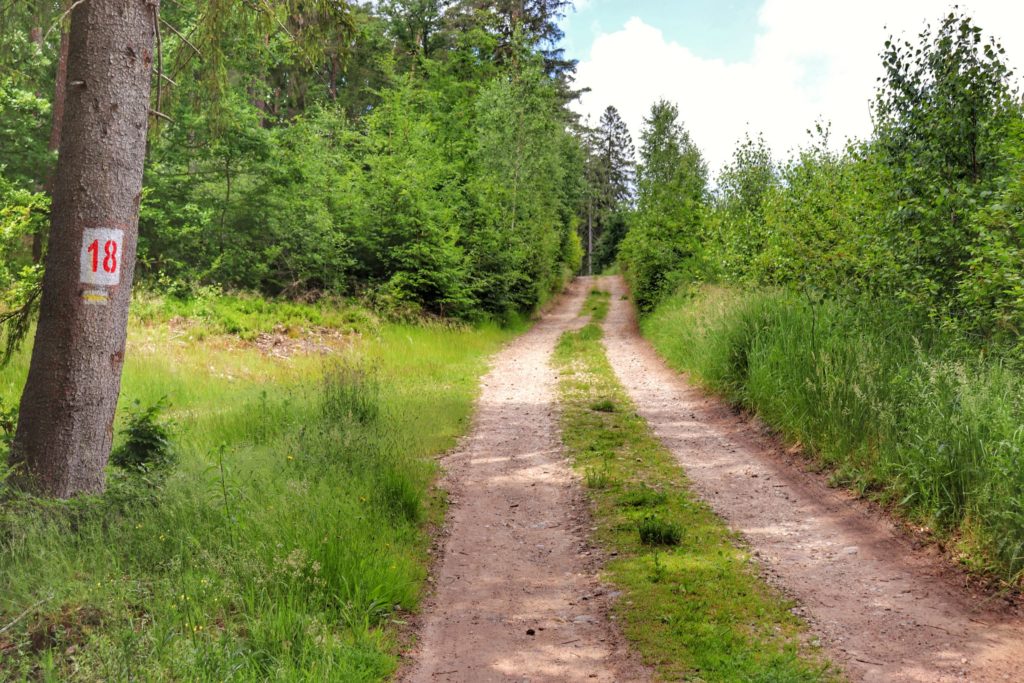 Szeroka droga polna na szlaku żółtym w Koszalinie (Pętla Tatrzańska)