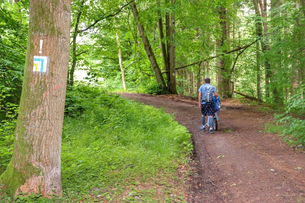 Szlak żółto - niebieski w Koszalinie - miejsce skrętu w lewo. mężczyzna, dziecko na rowerku, las