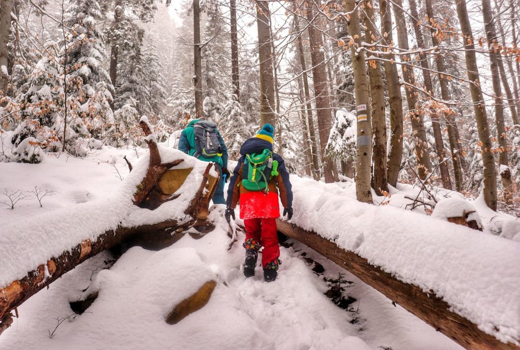 Turyści - dziecko na żółtym szlaku na Luboń Wielki, las, śnieg