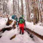 Turyści - dziecko na żółtym szlaku na Luboń Wielki, las, śnieg