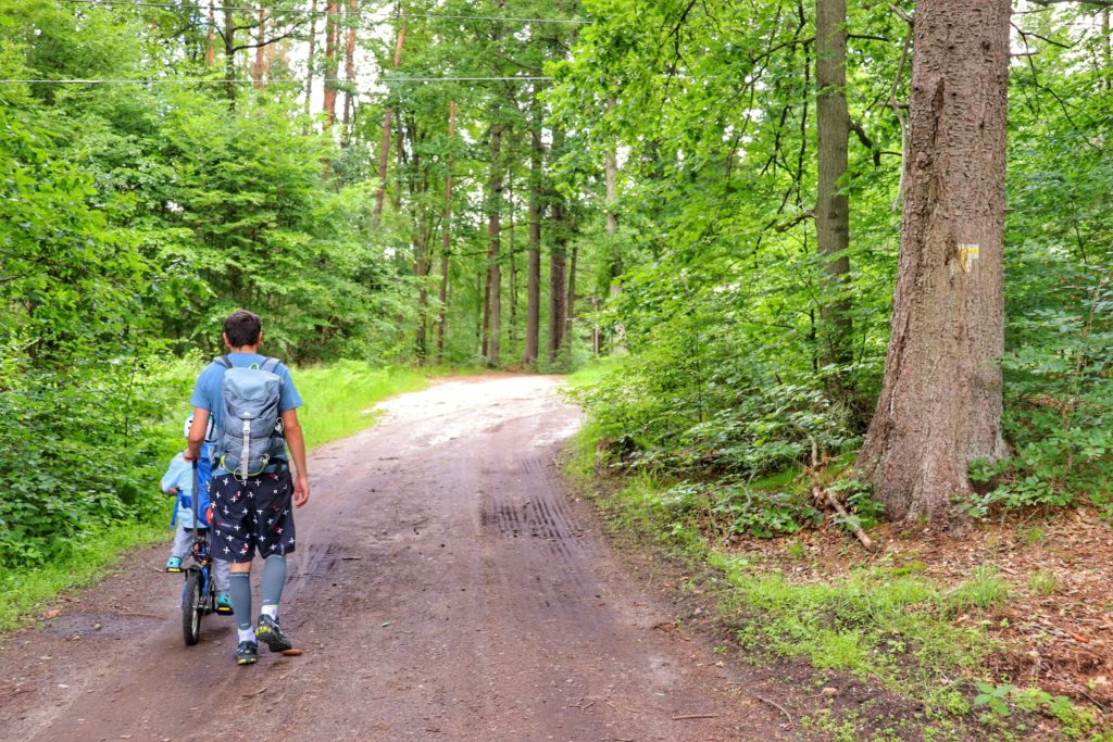 Turyści (mężczyzna, dziecko na rowerku), szeroka droga idąc przez las, oznaczenie na drzewie - szlak żółty skręt w prawo - Pętla Tatrzańska w Koszalinie