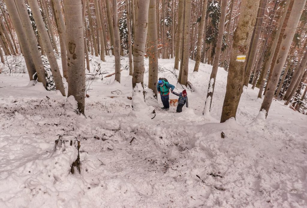 Zima na żółtym szlaku na Luboń Wielki, strome, zaśnieżone podejście przez las, turysta z dzieckiem