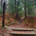Drewniane schody na niebieskim szlaku na Turbacz, droga leśna