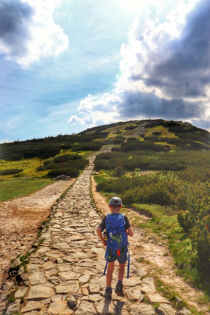 Dziecko idące czerwonym szlakiem na Babią Górę, skalny chodnik, zachmurzone niebo, słońce, zielona kosodrzewina