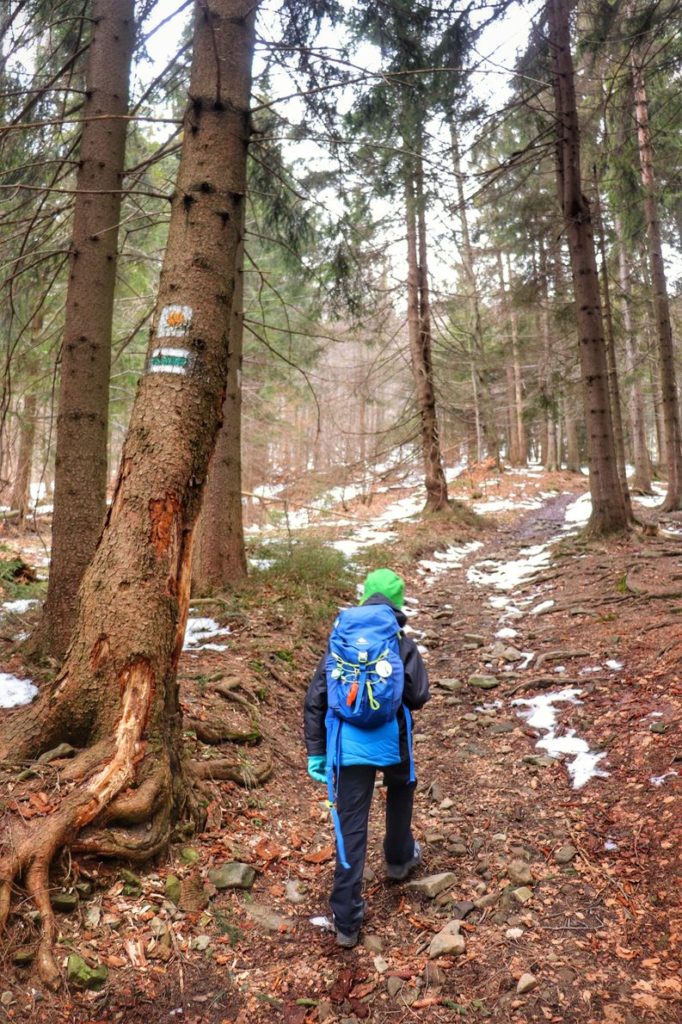 Dziecko na zielonym szlaku (okolice Przełęczy Klekociny, Koszarawa), wąska ścieżka leśna