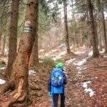 Dziecko na zielonym szlaku (okolice Przełęczy Klekociny, Koszarawa), wąska ścieżka leśna