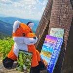 Mapa, bilet Babiogórskiego Parku Narodowego, zabawka pluszowa - lis