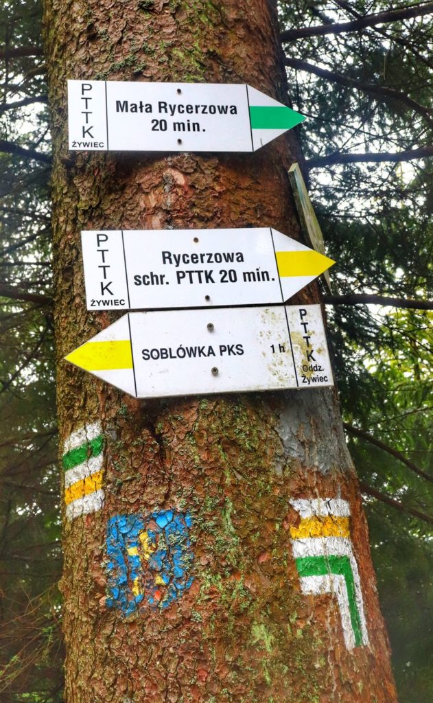Miejsce łączenie szlaku żółtego oraz zielonego na Rycerzową - 20 minut drogi do schroniska na Rycerzowej, białe tabliczki na drzewie