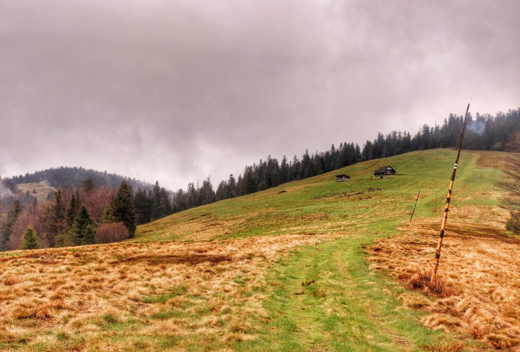 Obszerna Hala Rycerzowa - szlak zielony, pochmurny deszcz, intensywnie zielona trawa, w oddali drewniane chaty pasterskie