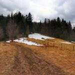 Przełęcz Klekociny, szeroka droga polna na zielonym szlaku, zachmurzone niebo