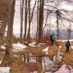 Szeroka droga na czarnym szlaku schodzącym do Zawoi, kałuże, resztki śniegu, wiosenne popołudnie