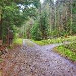 Szeroka, kamienista droga na gorczańskim szlaku, po lewej stronie drewniana ławka, miejsce skrętu w prawo szlaku niebieskiego na Turbacz