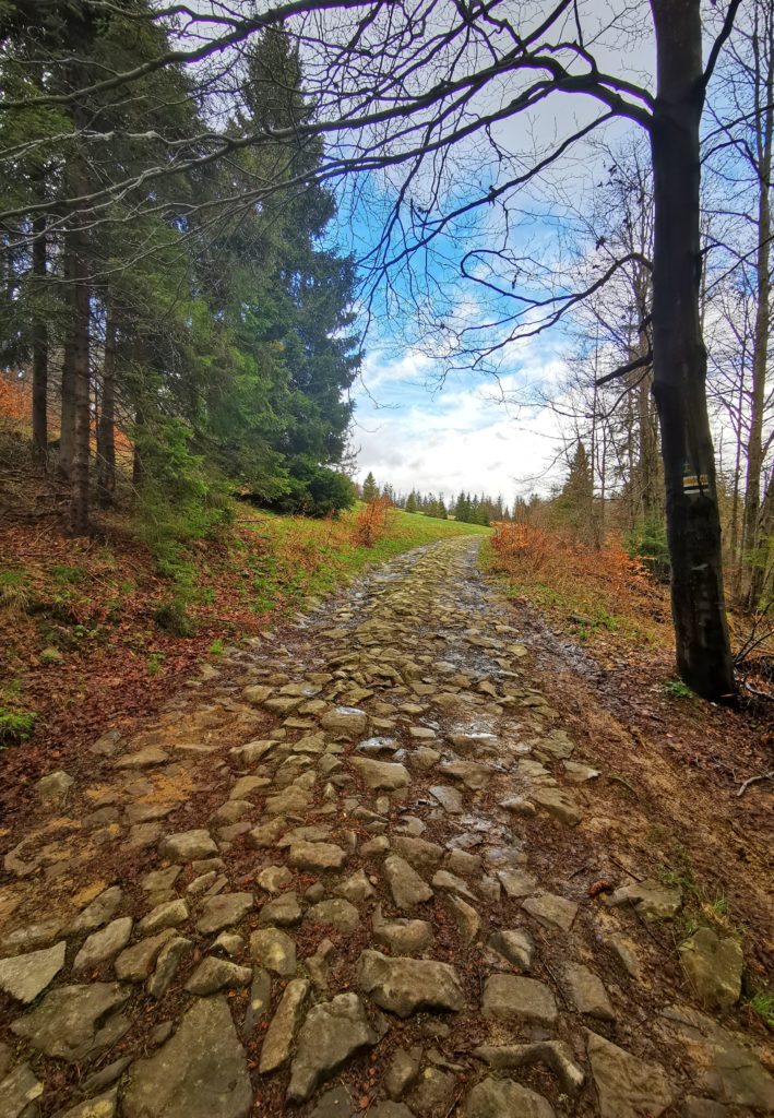 Szeroka, kamienista droga na żółtym - czarnym szlaku prowadzącym od schroniska na Wielkiej Rycerzowej