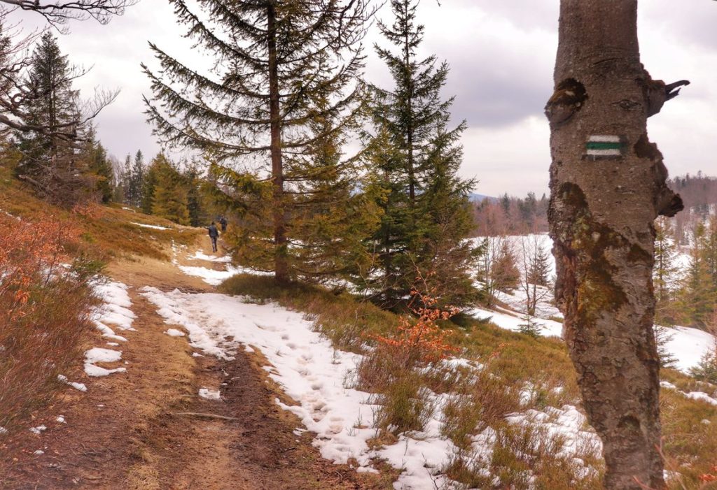 Szlak zielony, wiosenna Hala Kamińskiego, resztki śniegu