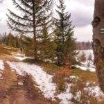 Szlak zielony, wiosenna Hala Kamińskiego, resztki śniegu