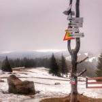 Słup z drogowskazami znajdujący się w okolicach schroniska pod Turbaczem, pochmurny, mglisty dzień