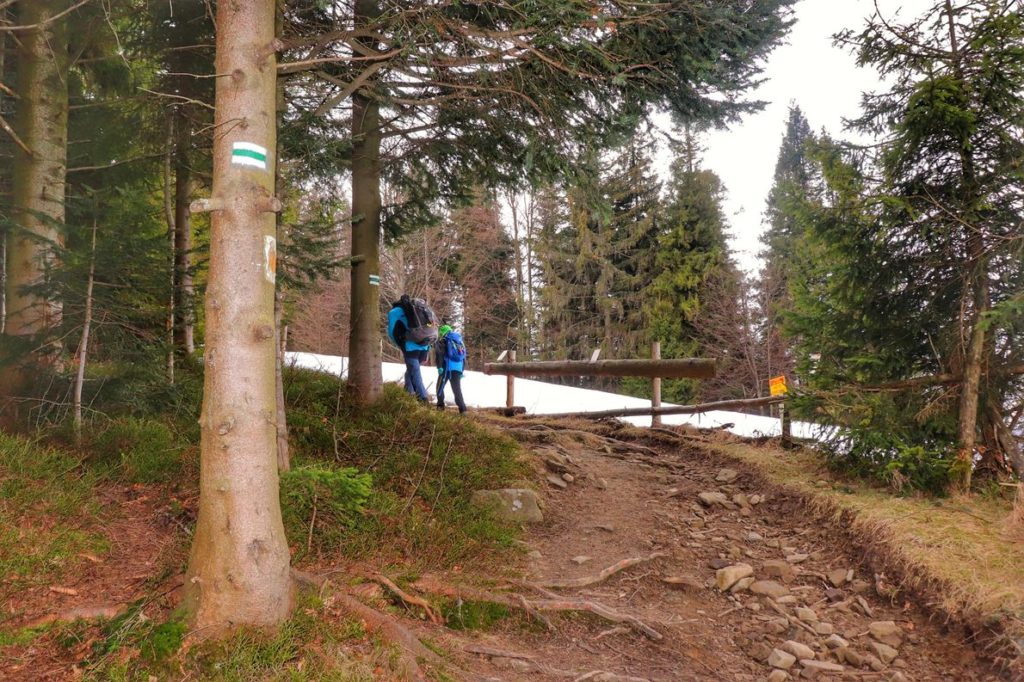 Turysta z dzieckiem na zielonym szlaku idącym (okolice Przełęczy Klekociny), kamienista, leśna ścieżka, drewniane ogrodzenie