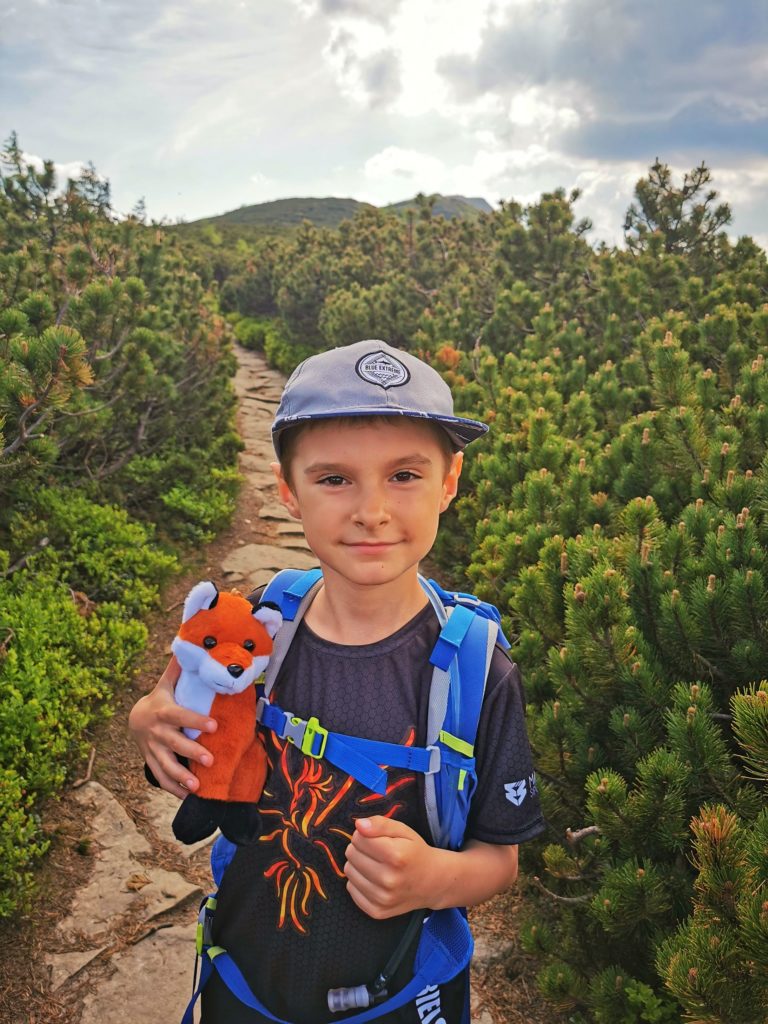 Uśmiechnięte dziecko na czerwonym szlaku na Babią Górę, wąska ścieżka idąca między zieloną kosodrzewiną