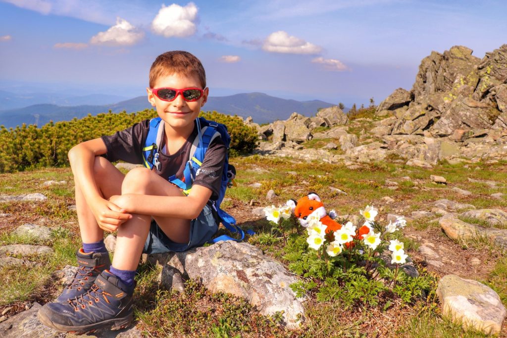 Uśmiechnięte dziecko odpoczywające na czerwonym szlaku na Babią Górę, sasanki alpejskie