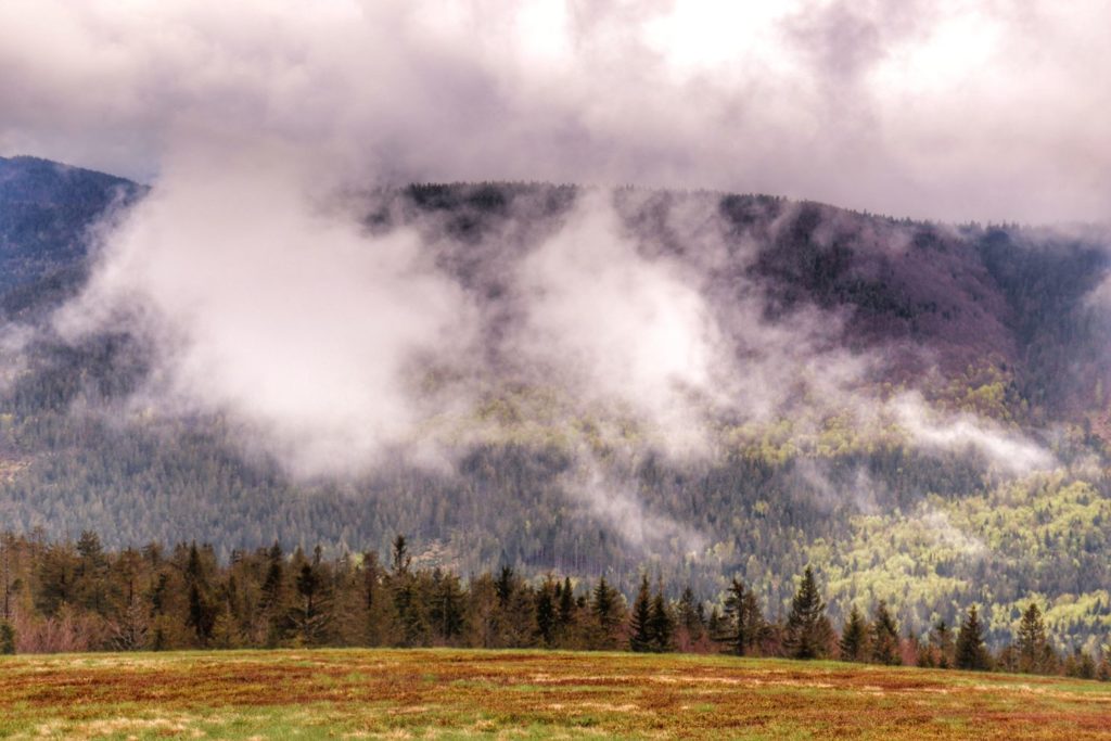 Widok rozciągający się z Hali Rycerzowej w Beskidzie Żywieckim, las, chmury