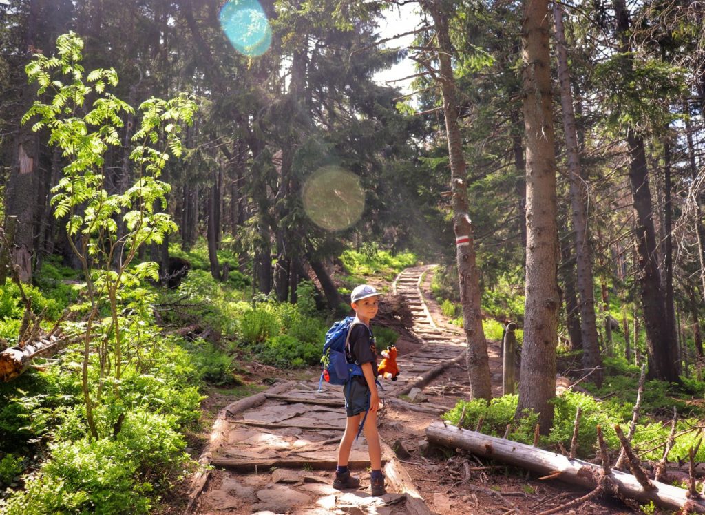 Zadowolone dziecko na czerwonym szlaku na Babią Górę, słoneczny dzień, las
