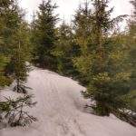 Śnieg, wydeptana ścieżka, drzewa iglaste, zachmurzone niebo