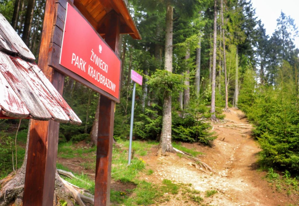 Ścieżka na niebieskim szlaku na Krawców Wierch, tablica w kolorze czerwonym z napisem ŻYWIECKI PARK KRAJOBRAZOWY
