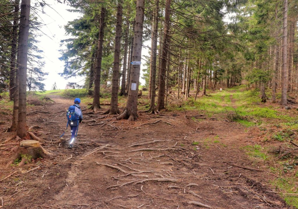 Dziecko na szlaku, miejsce skrętu szlaku niebieskiego w lewo idącego do Bacówki na Krawcowym Wierchu