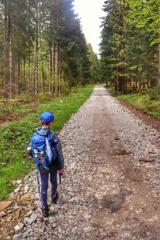 Dziecko na szlaku niebieskim prowadzącym do Bacówki na Krawcowym Wierchu, szeroka, wysypana kamieniami droga, las