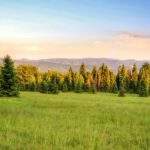 Krajobraz górski rozciągający się z polany położonej poniżej szczytu Sucha Góra