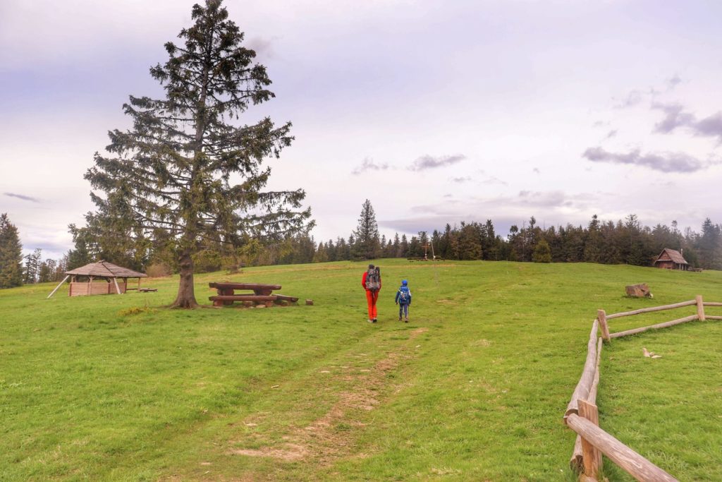 Krawców Wierch, turysta z dzieckiem, ścieżka prowadząca przez polanę, w tle widoczna wiata