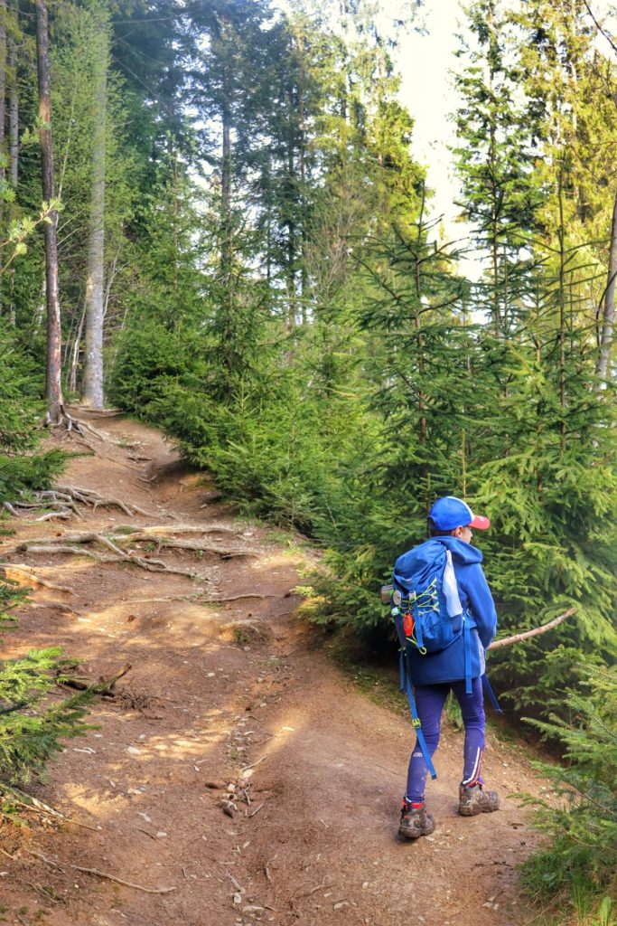 Mały turysta, dziecko na niebieskim szlaku - Przełęcz Glinka, leśna ścieżka