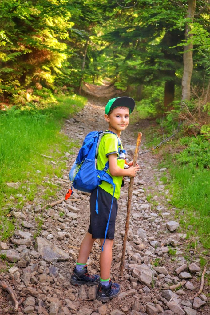 Mały turysta, dziecko idące szeroką drogą leśną w Milówce