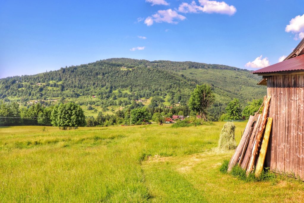 Polana w Milówce