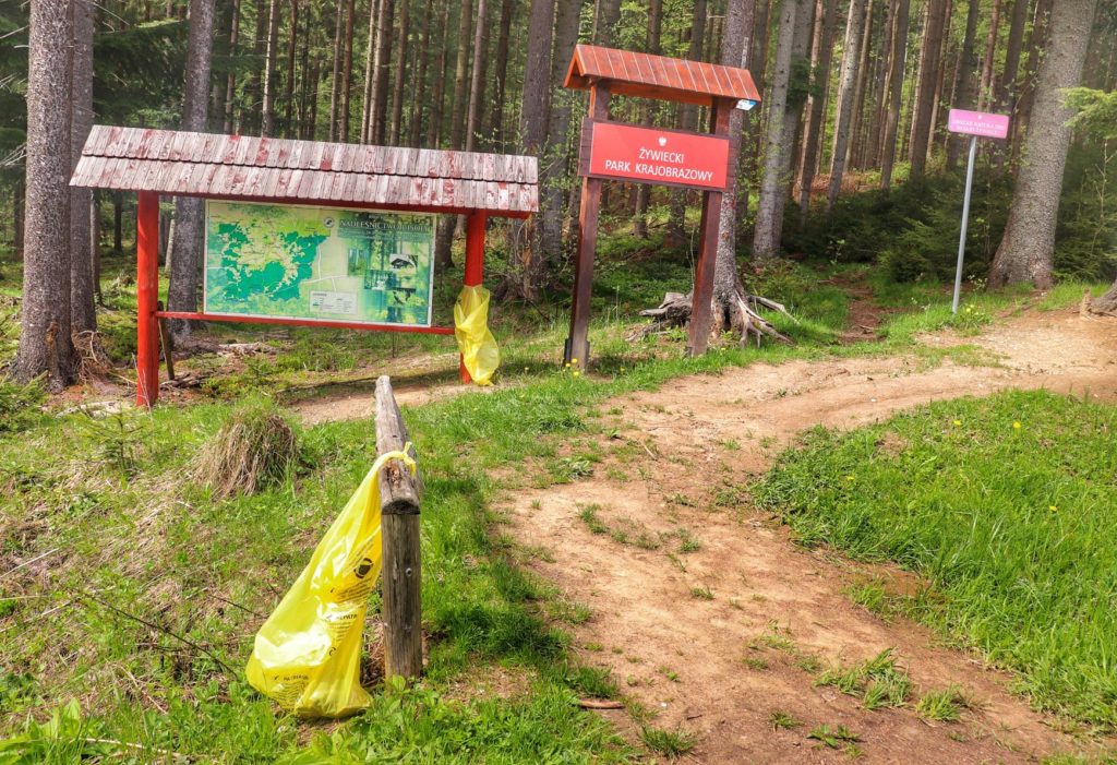 Przełęcz Glinka - wejście na szlak niebieski z parkingu na Przełęczy Glinka, czerwona tablica z napisem ŻYWIECKI PARK KRAJOBRAZOWY, droga leśna