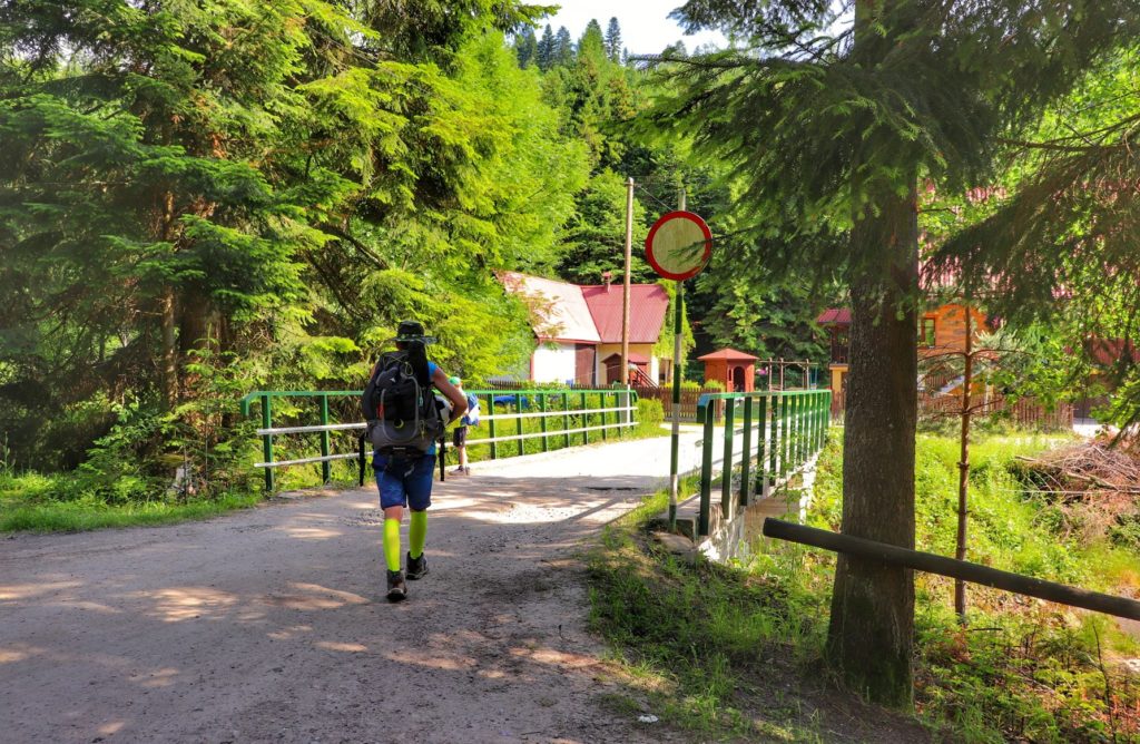 Turysta kierujący się w stronę mostu w Milówce, drzewa, szeroka droga