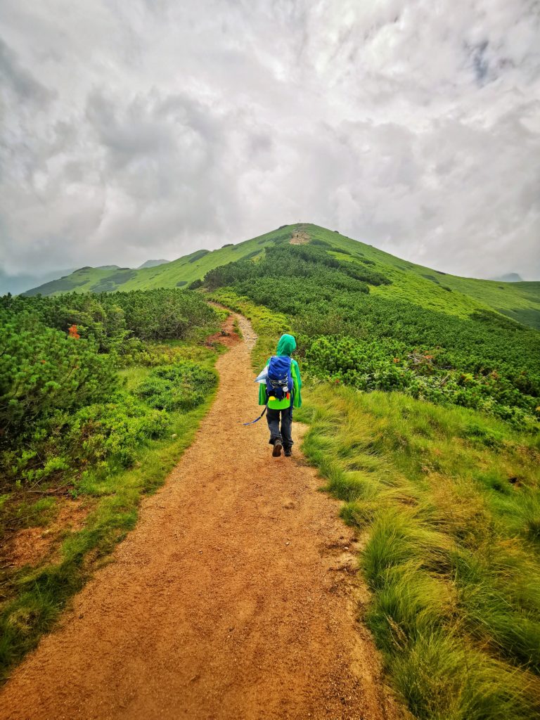 Dziecko idące czerwonym szlakie na Trzydniowiański Wierch, chmury, zielona trawa, kosodrzewina